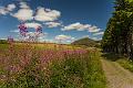 2017_08_06_Auvergne (0076)